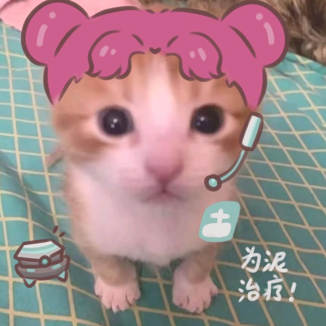 双层吉士堡