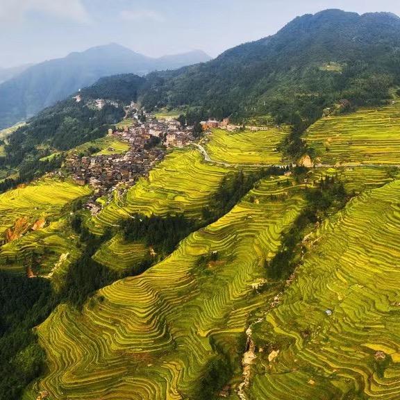 黔中阿甘农产品