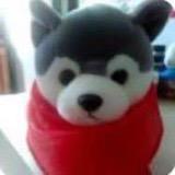 无敌海苔🧣@抖音