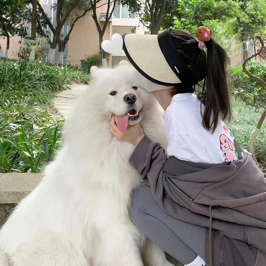 蜜糖|♡