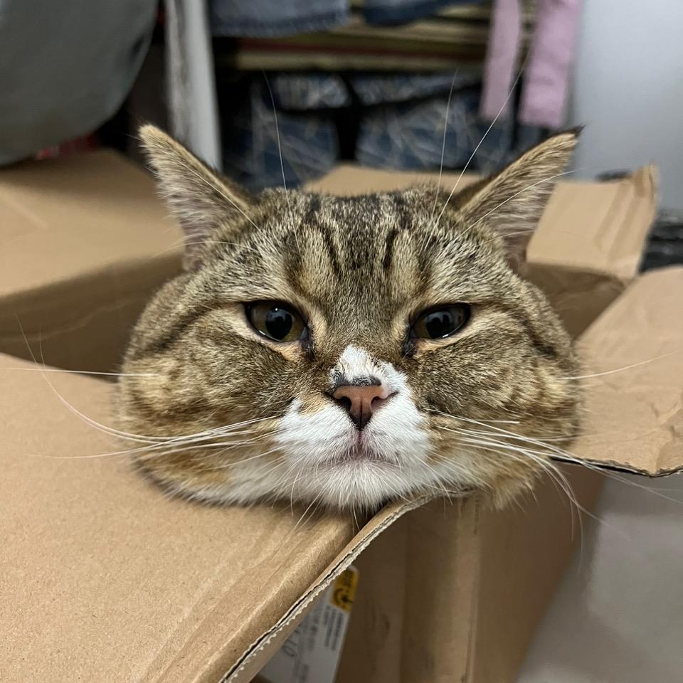 农闲游戏