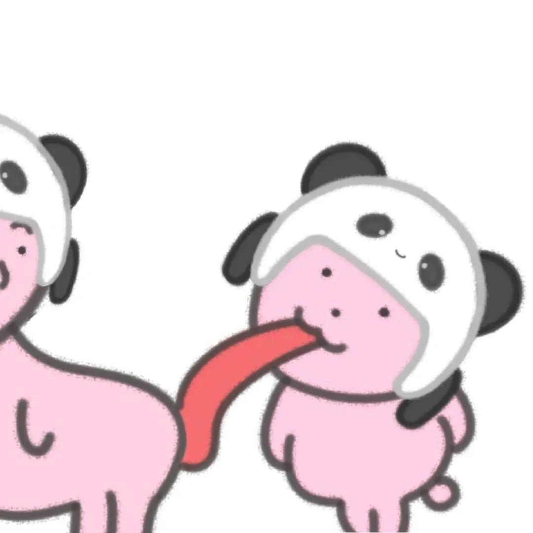 佳佳🐰