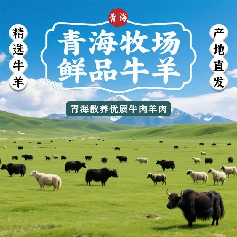 青海牧场鲜品牛羊