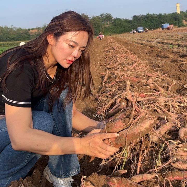 薯你最甜❤️
