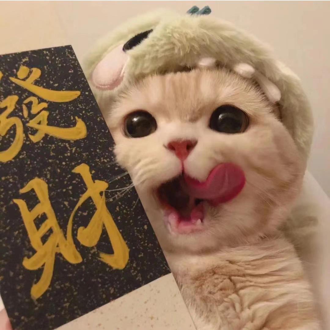 福满喵喵界🐱
