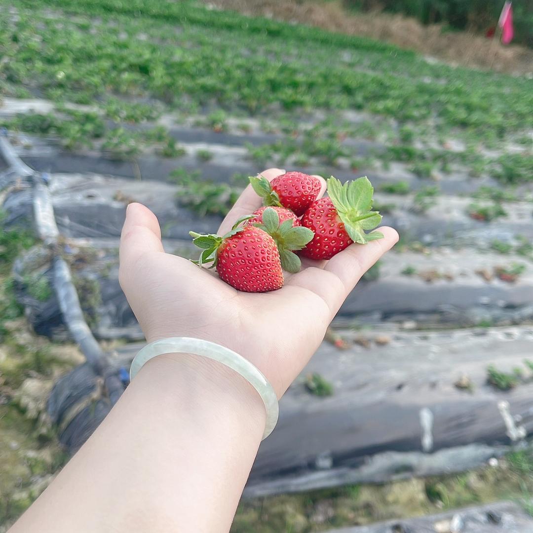 爱笑的女孩
