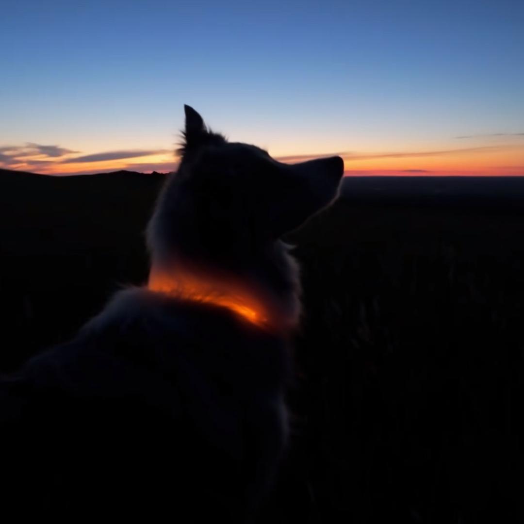 🌈橘子皮ᅟᅠ ᅟᅠ