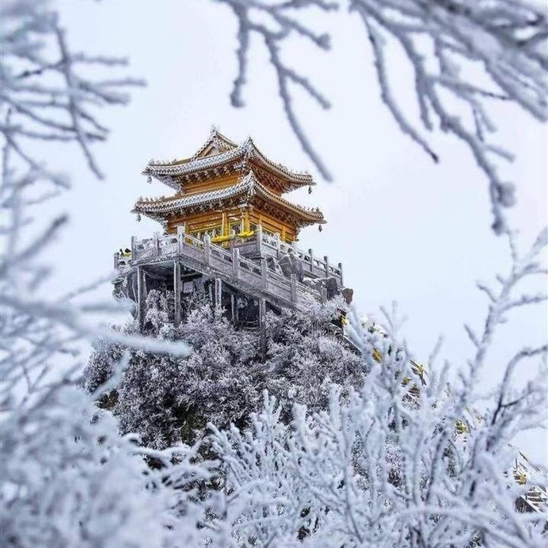 快乐心