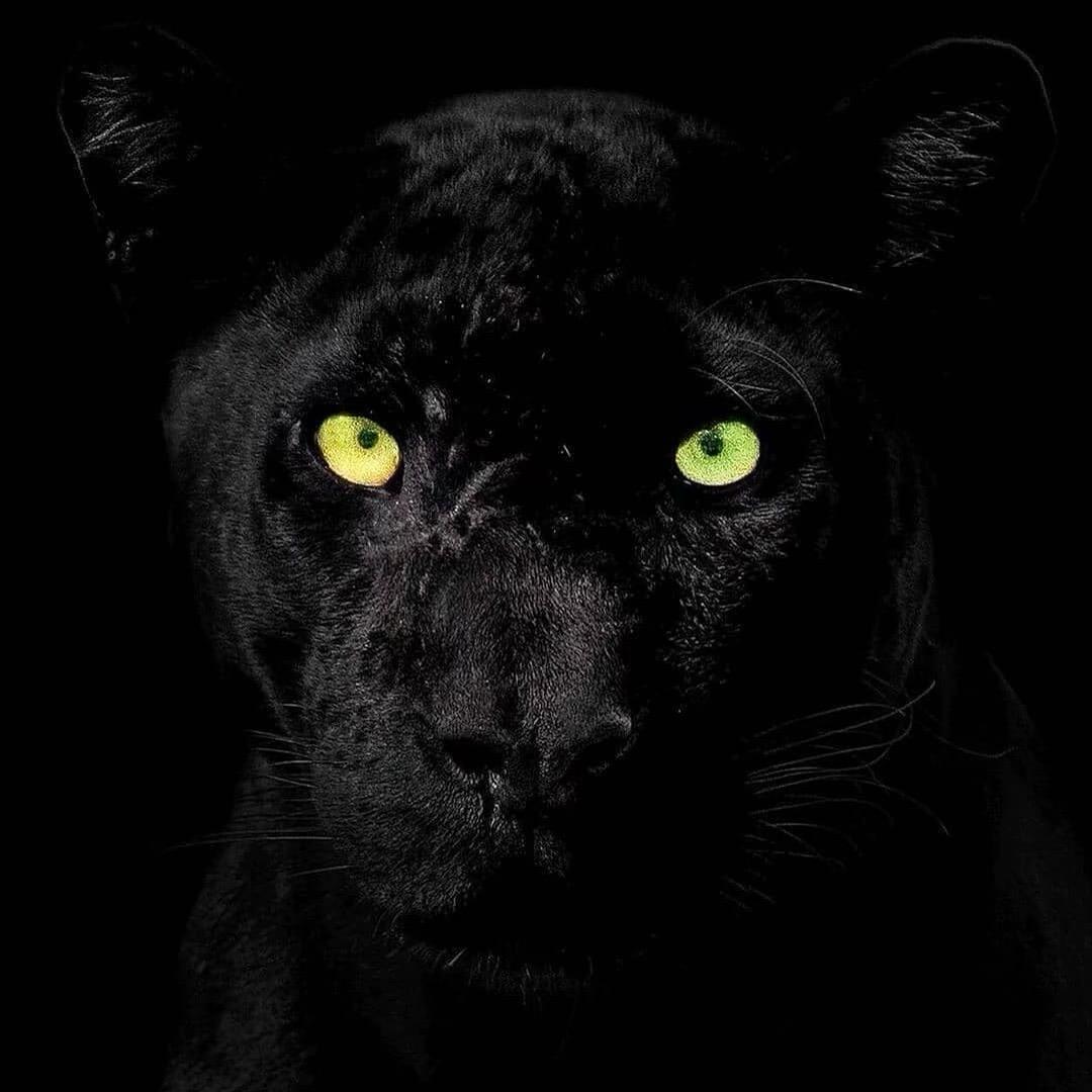 ㅤㅤㅤㅤㅤㅤㅤㅤㅤㅤㅤㅤㅤㅤㅤ ㅤㅤ29