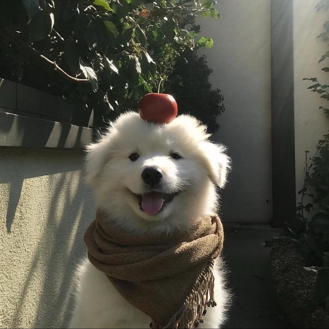 十点就睡