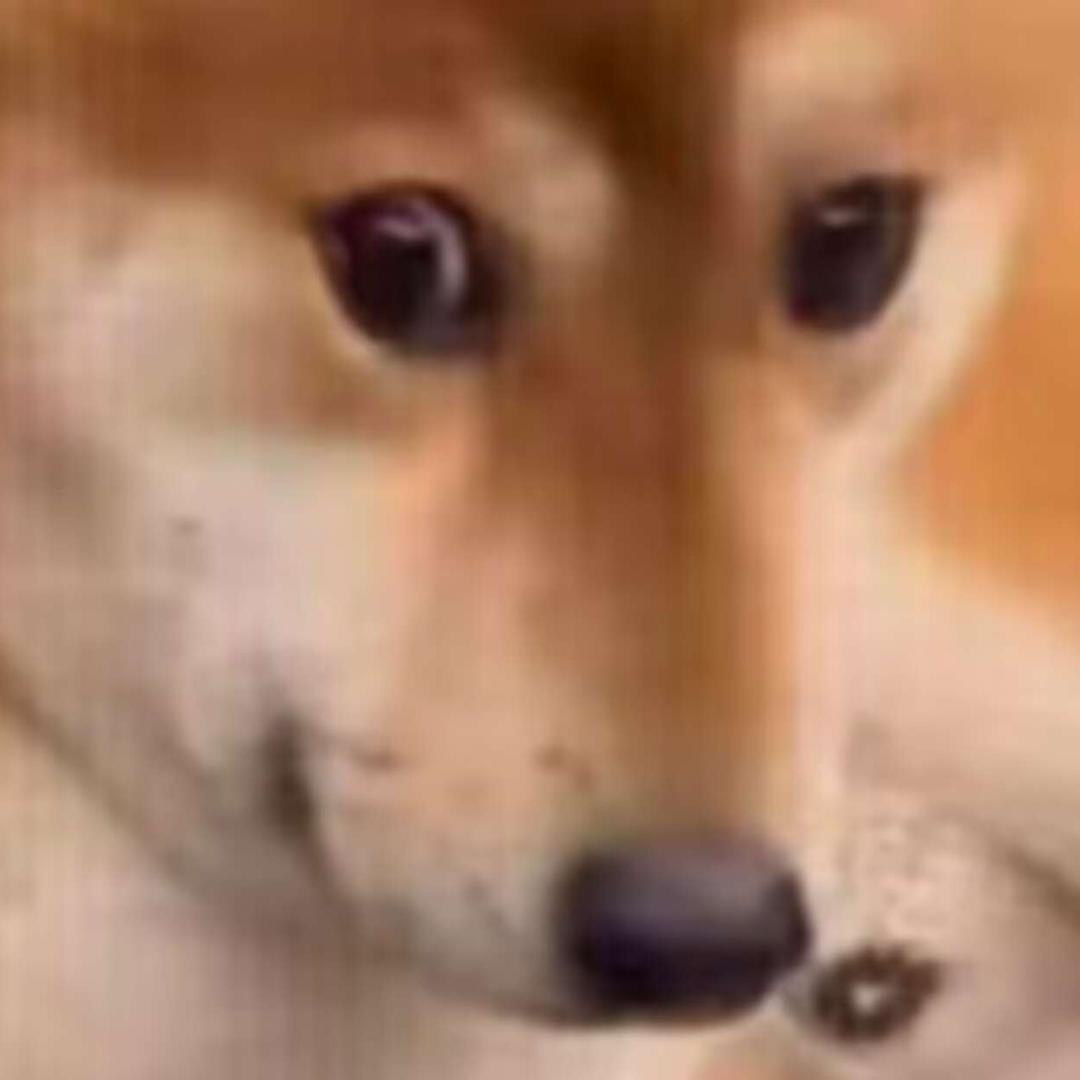 熬洲人。