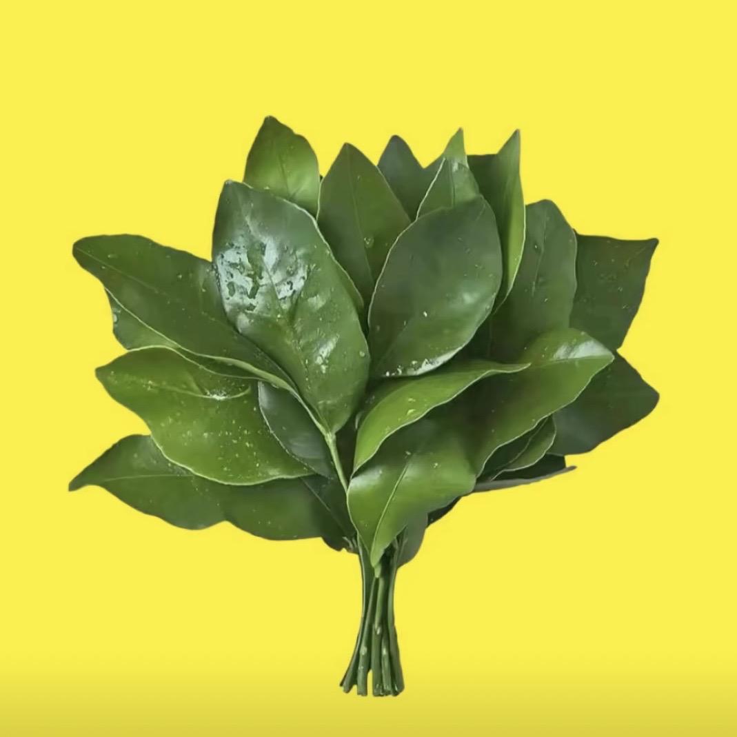 苏苏苏打水-