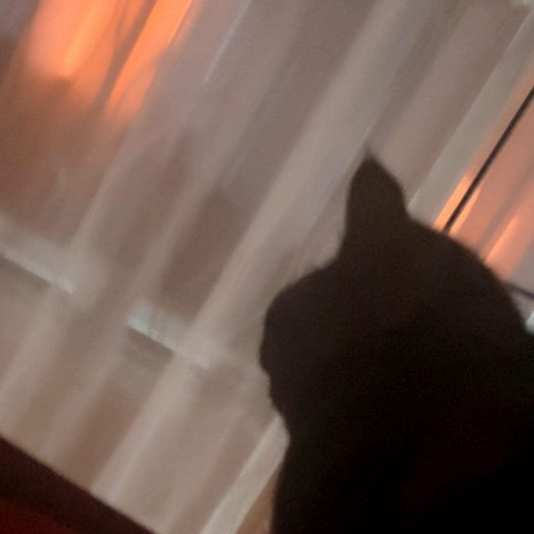 嘻耶