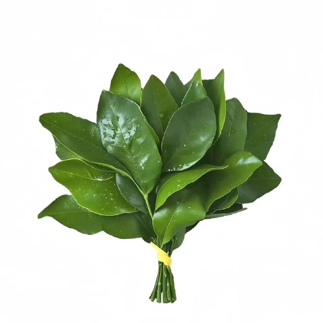 麻辣折耳根
