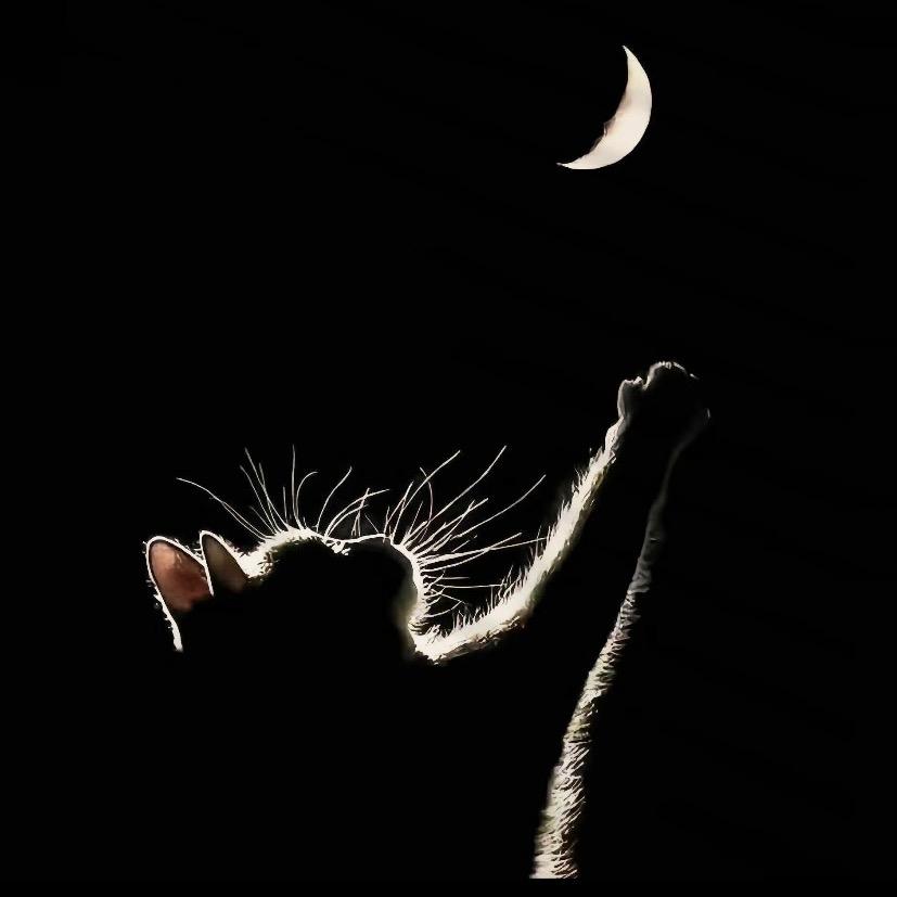 @ღ᭄💞余生꧔ꦿ᭄ 随心ღ᭄ 💕: