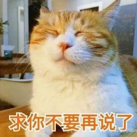 星野猫猫