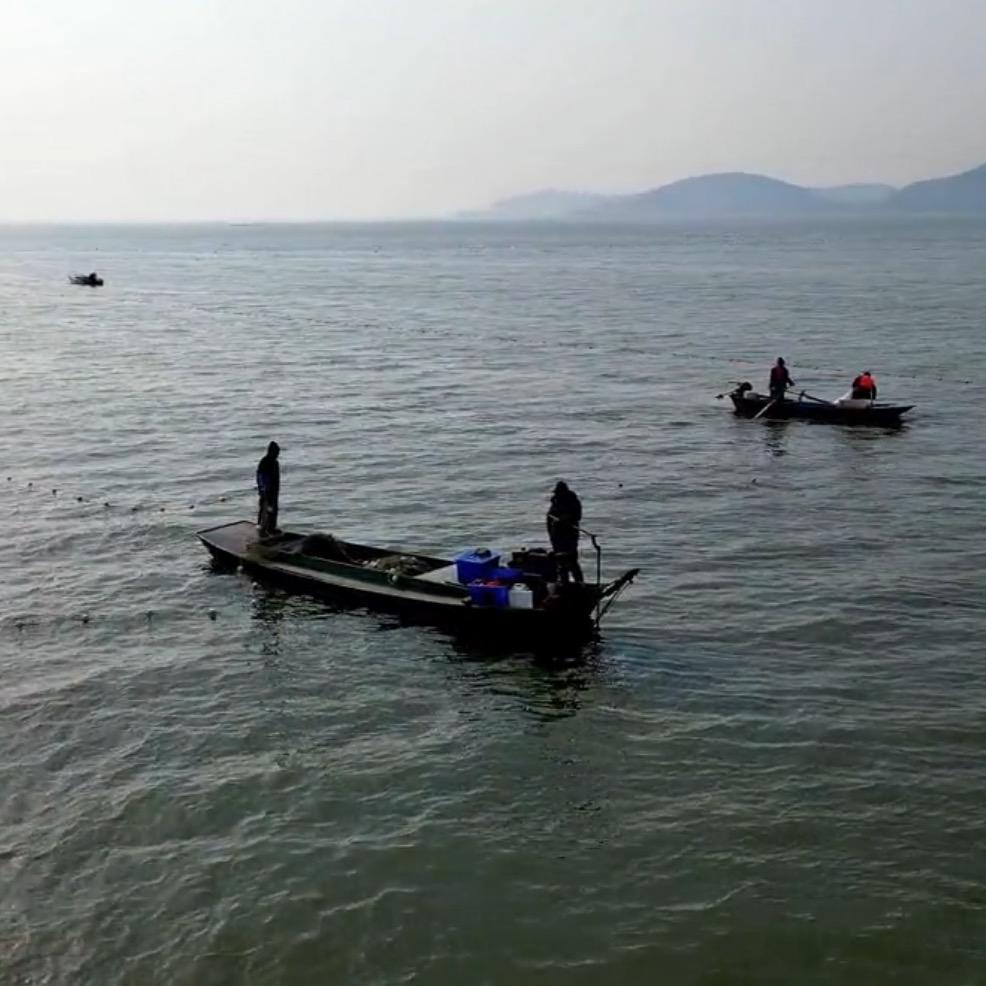 东平湖泰湖生鲜中心