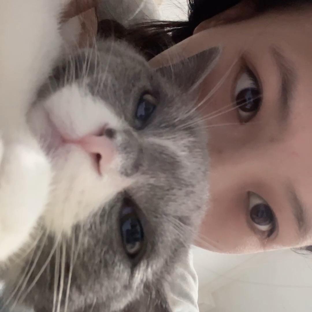 小李子啊