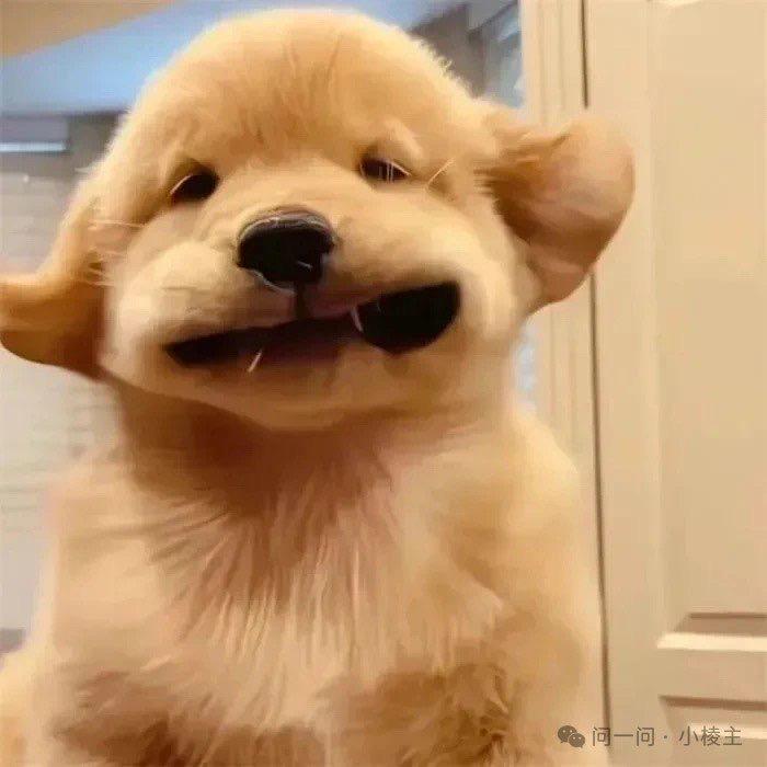 🌈努力努力再努力