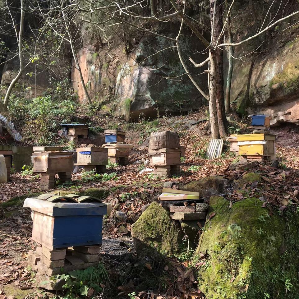 仁杰养蜂合作社