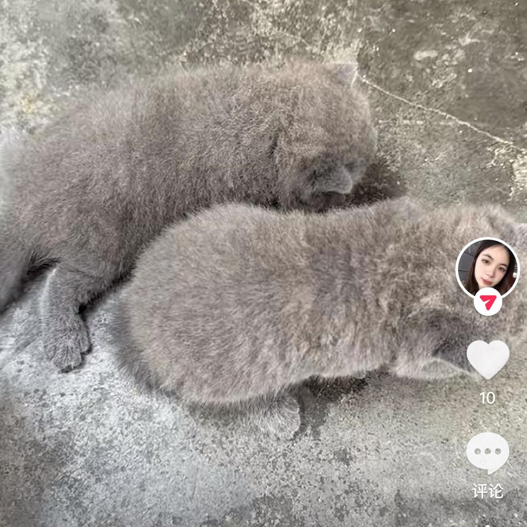 小哭包🥹