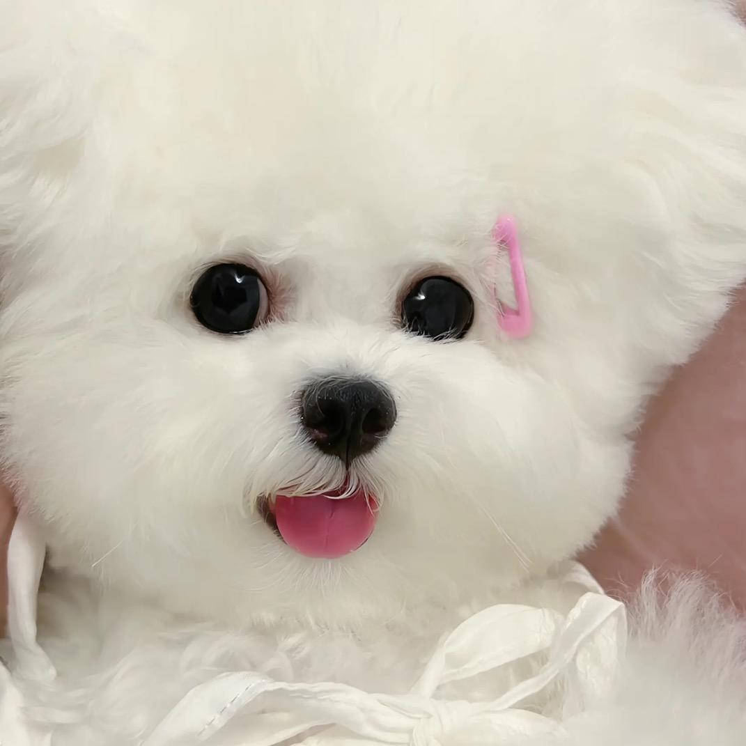一有缘便有圆圆