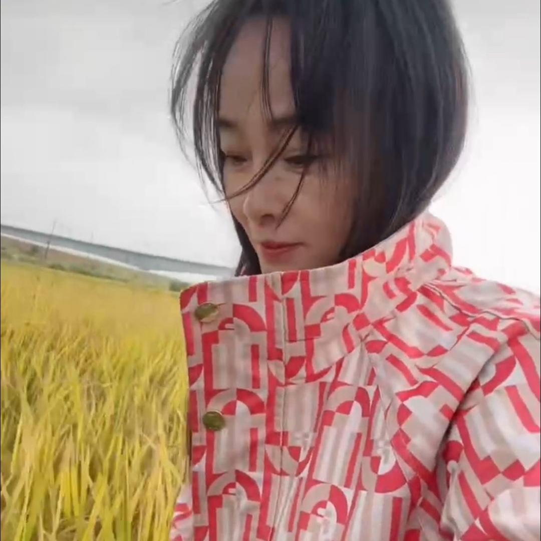 杨絮飞花