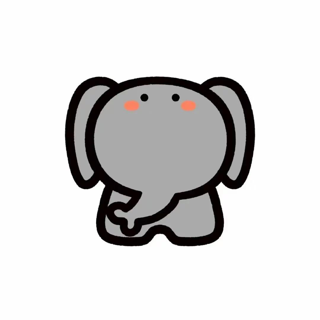 巢湖市斛珍源石斛铺（个体工商户）