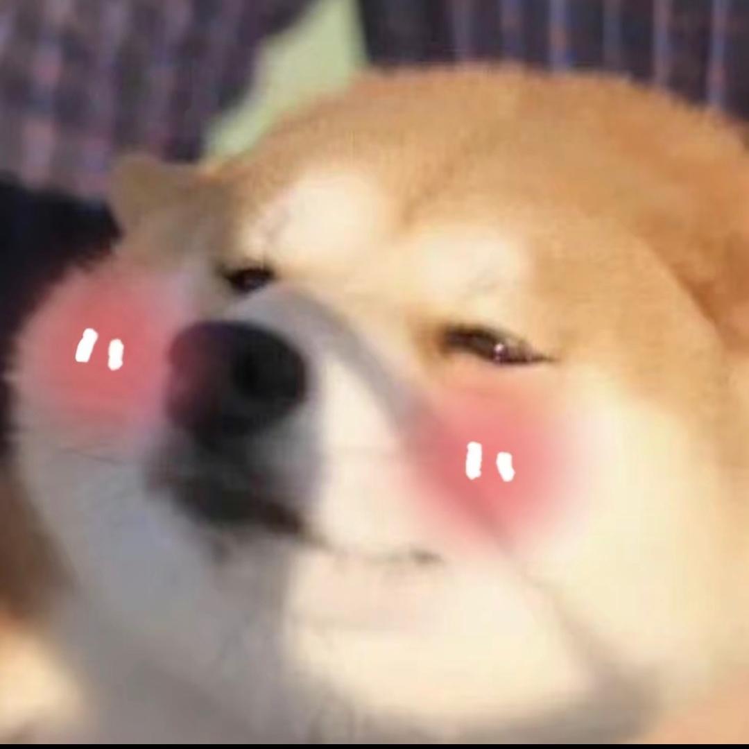 菜鸡曜
