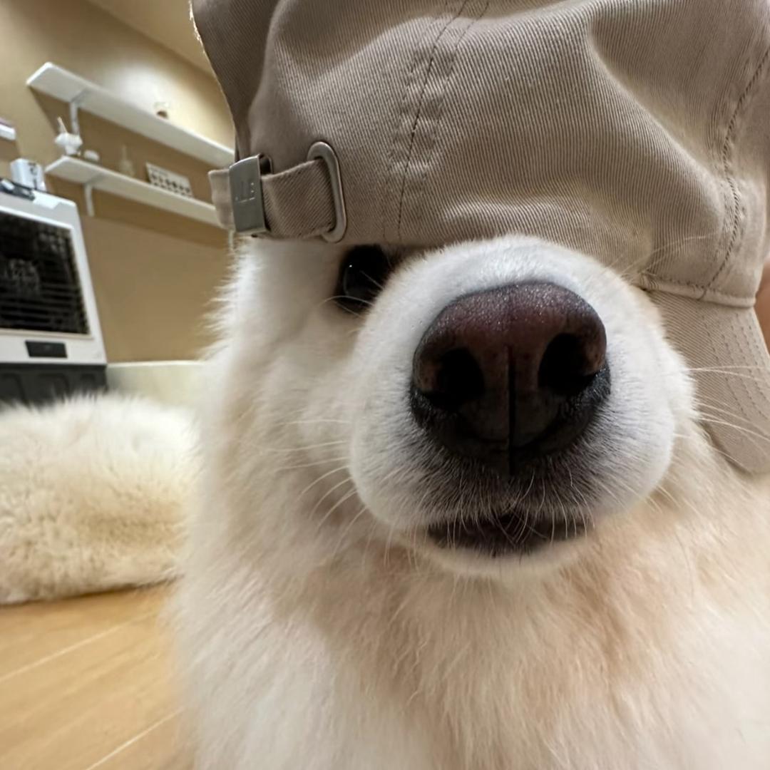 大铁牛