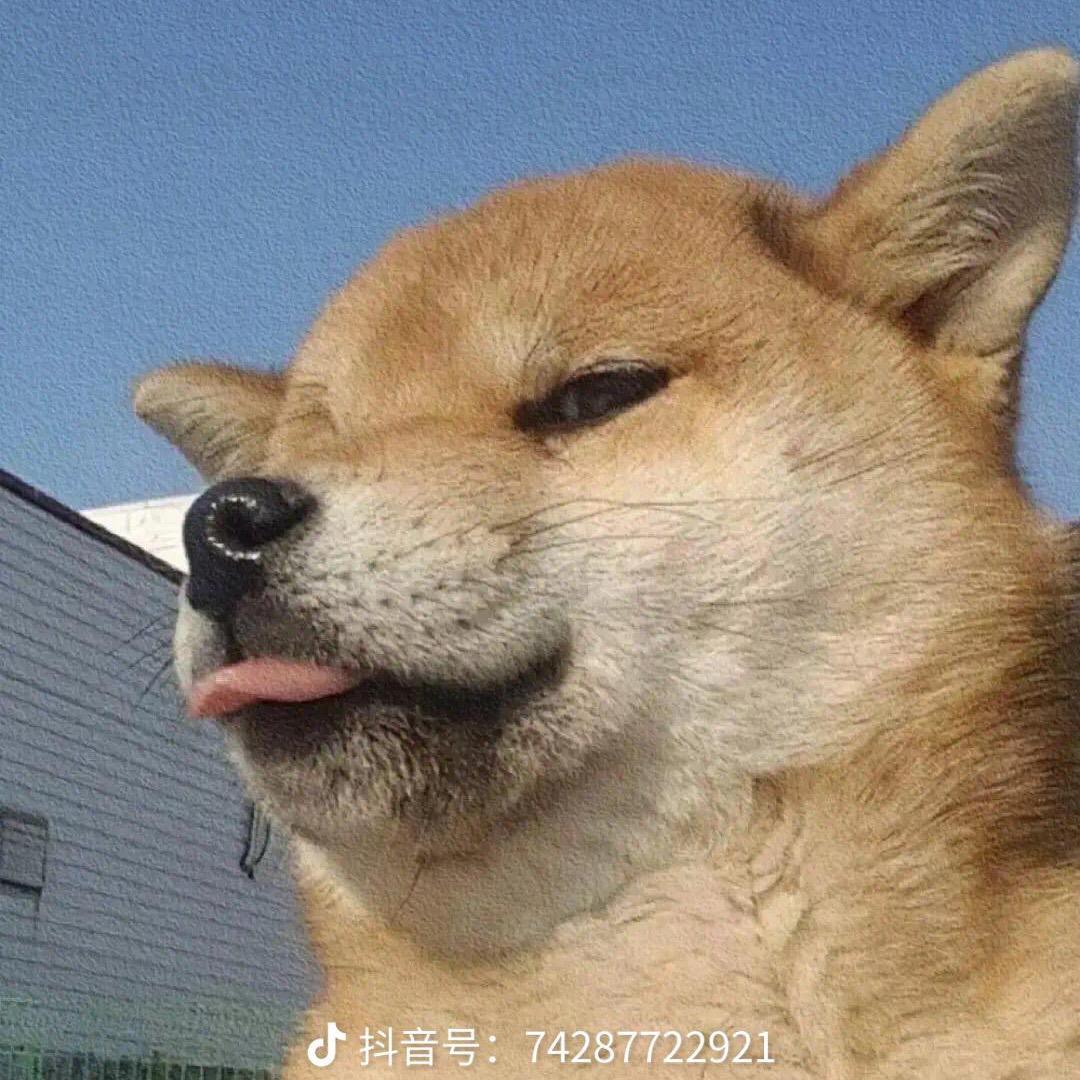 阴天诠释自我