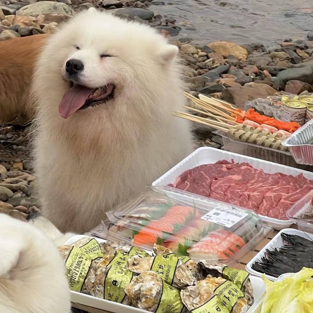 治愈信箱📪