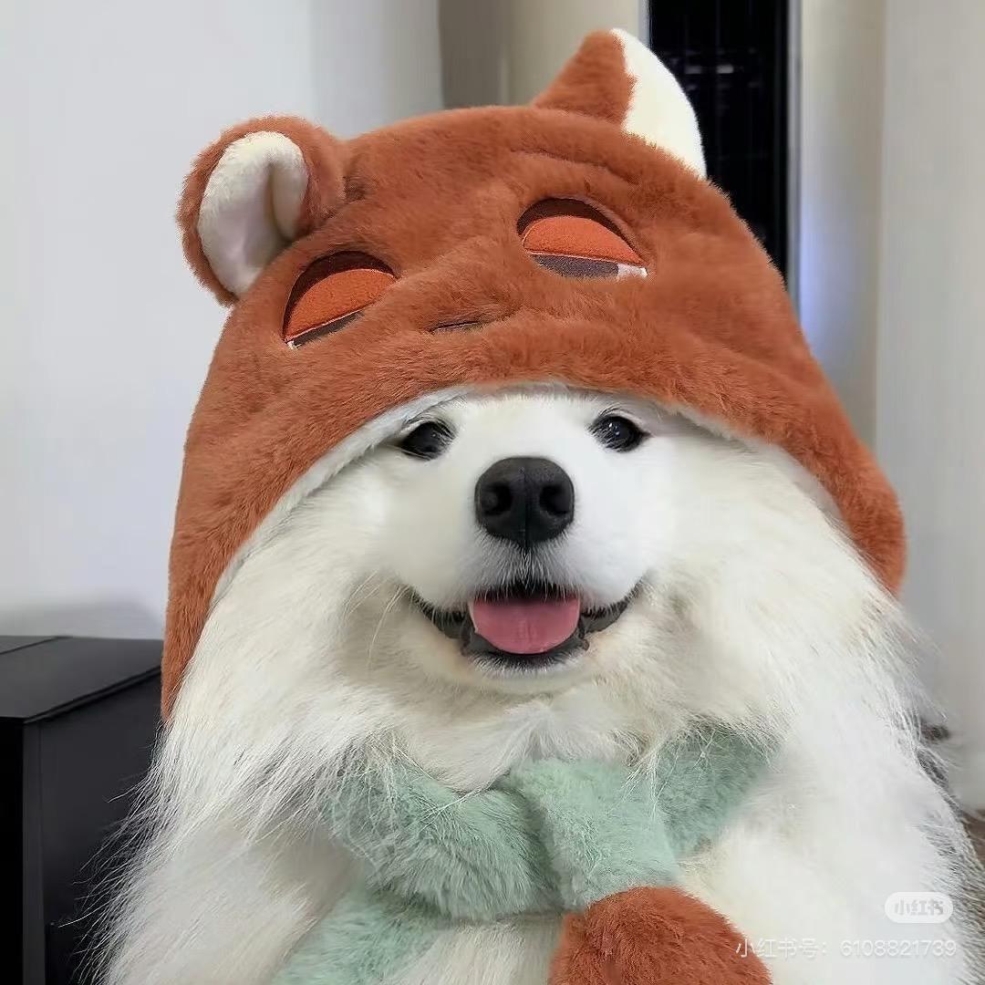 碰巧天气好