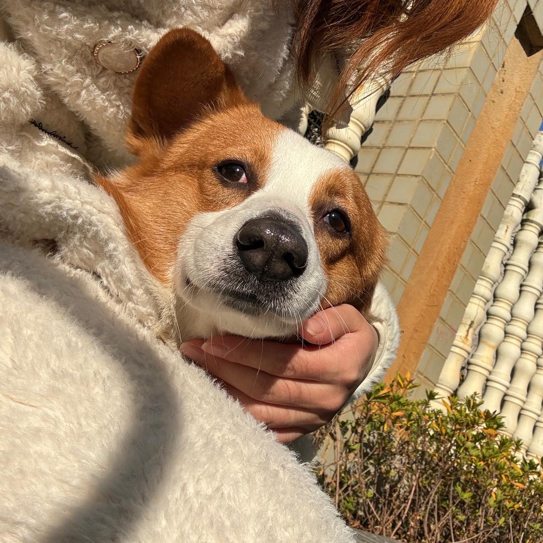 就是你知道的那个不知道