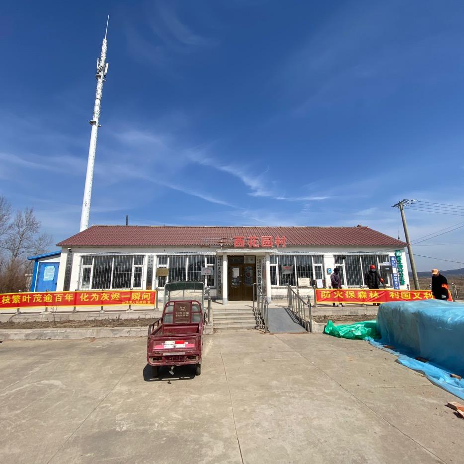 西花园村书记小赵