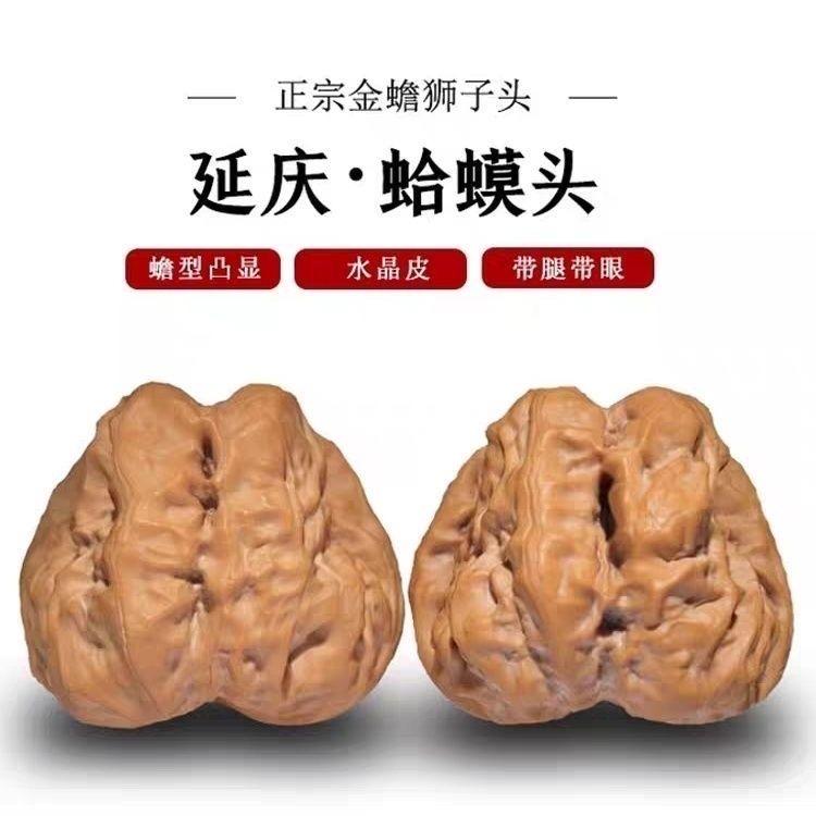 涞水核品集墨梅家