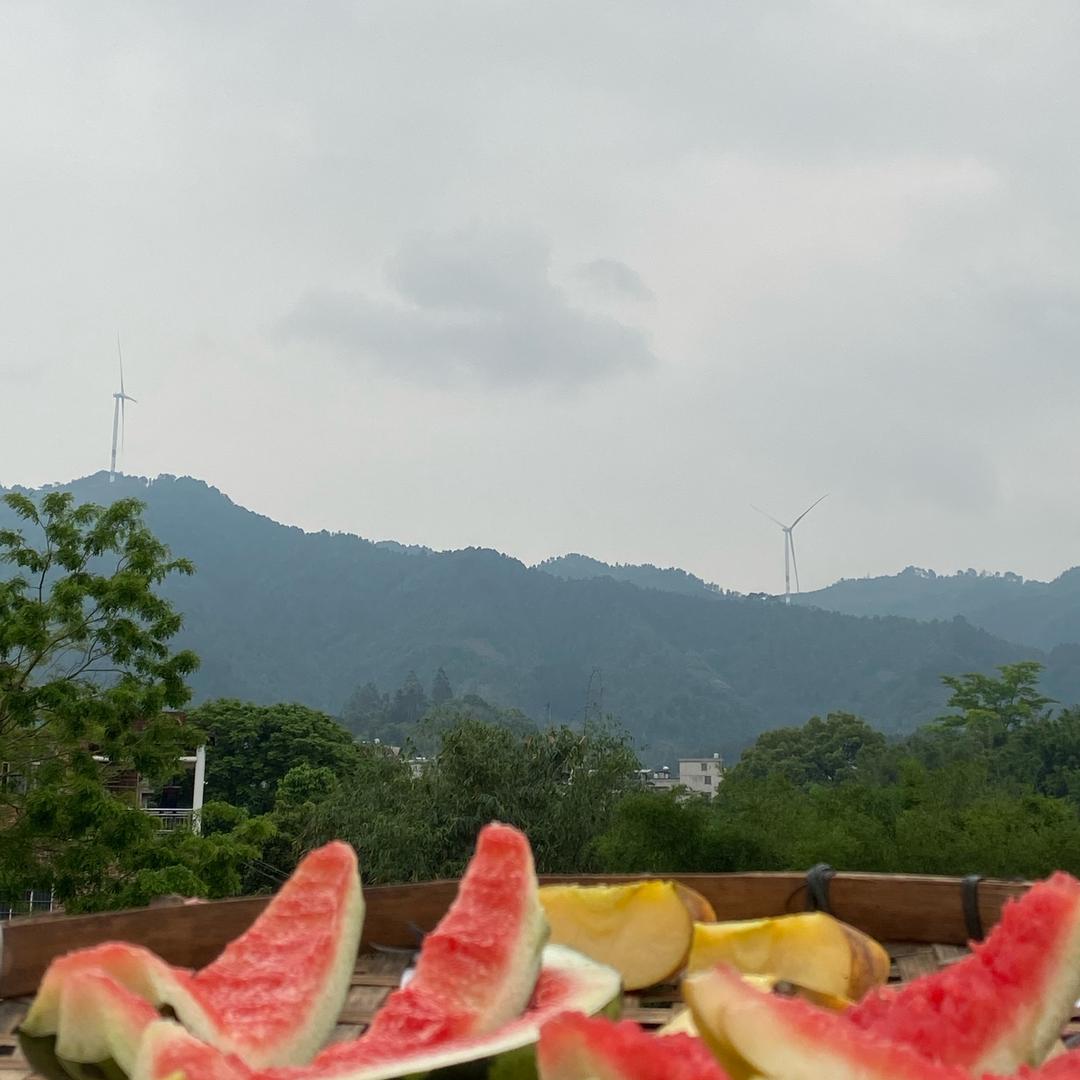 早起的鸟儿有果吃