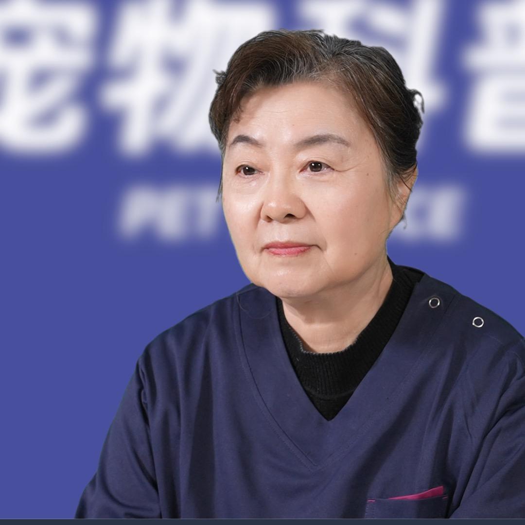 梅姐-养宠知识科普