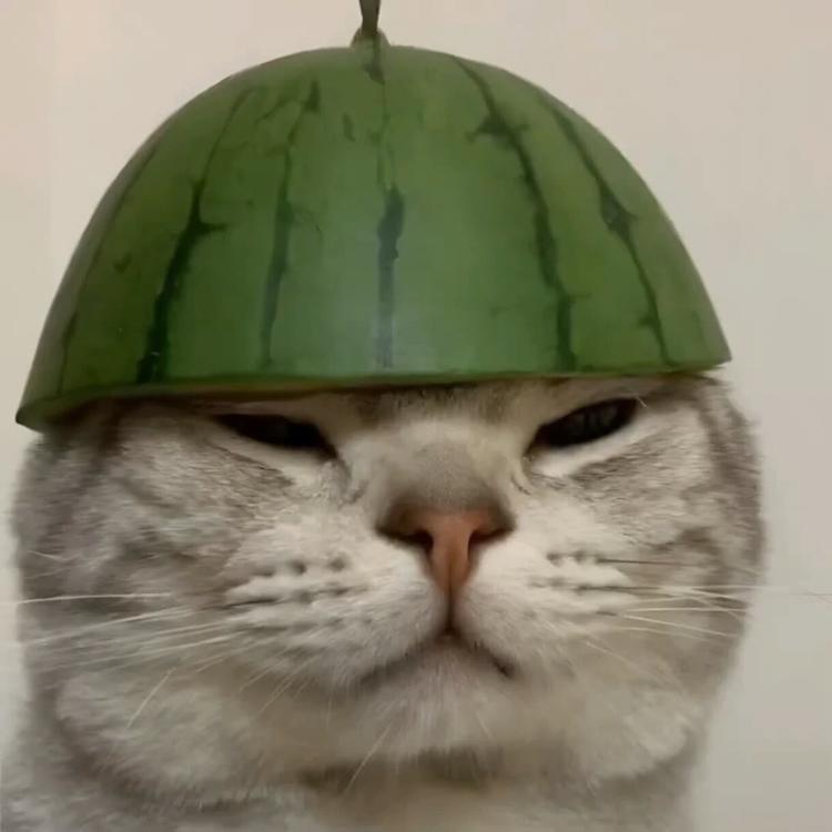 可可电商百货