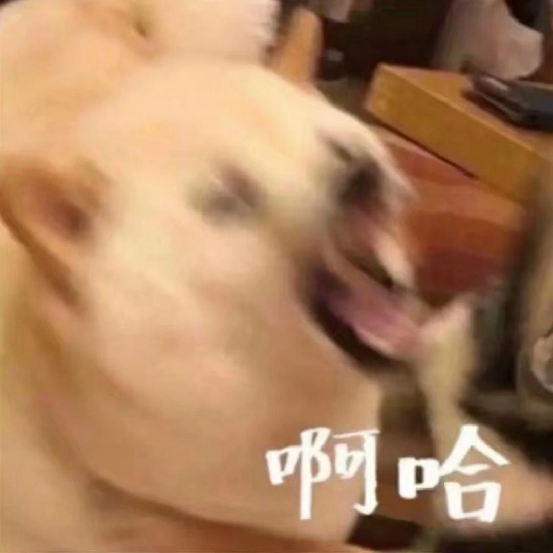 野原新之助二号