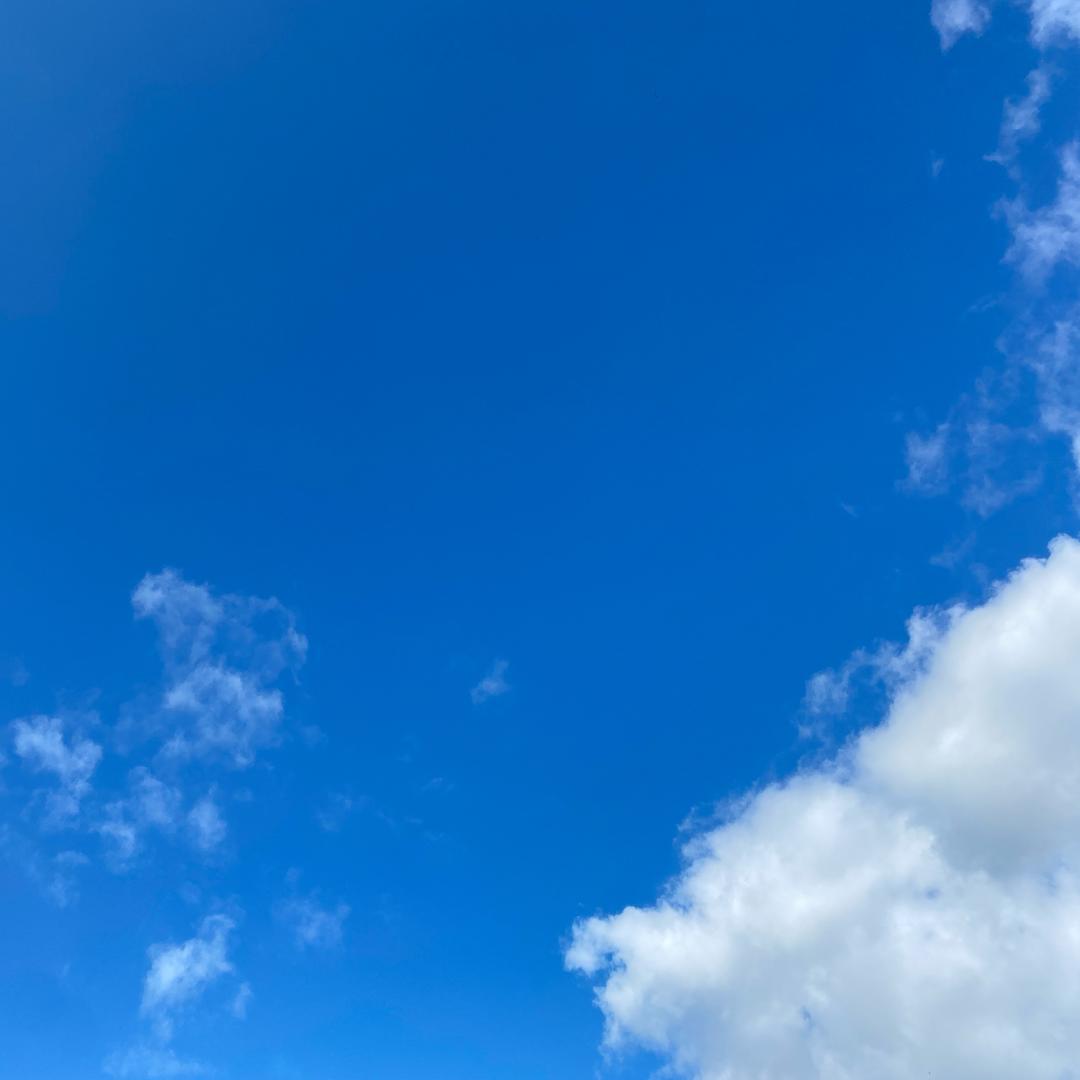 ☞🐭小老鼠🐭☜