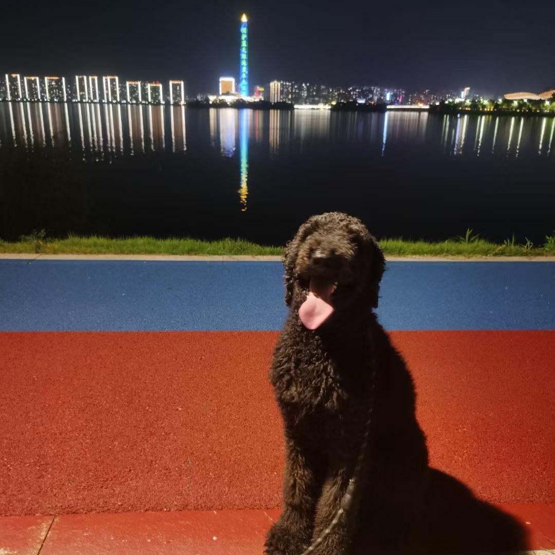 又菜又爱玩（农药版）