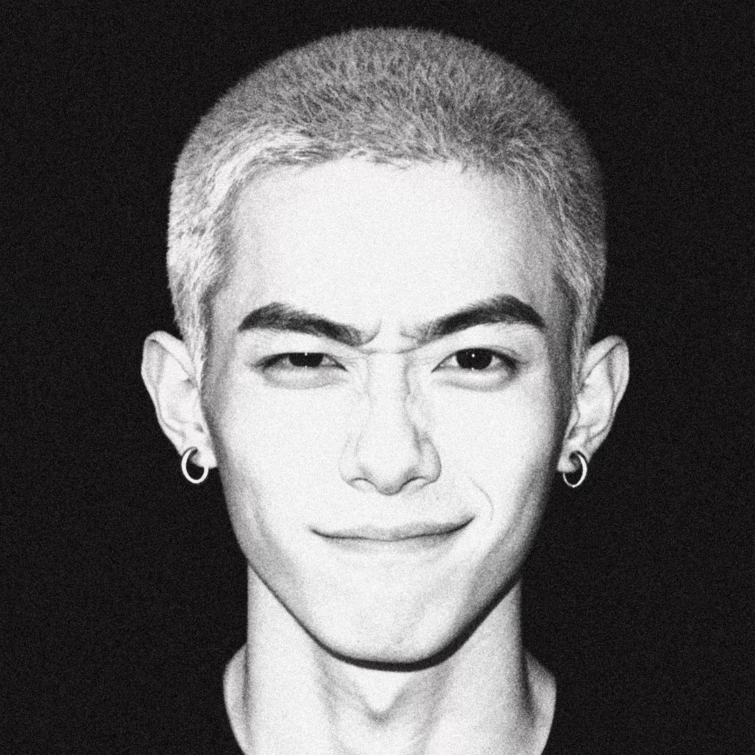 🦩