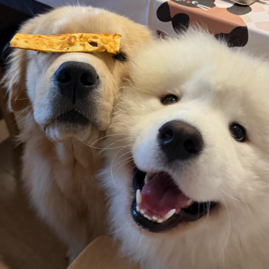 大雄大雄下雨不愁