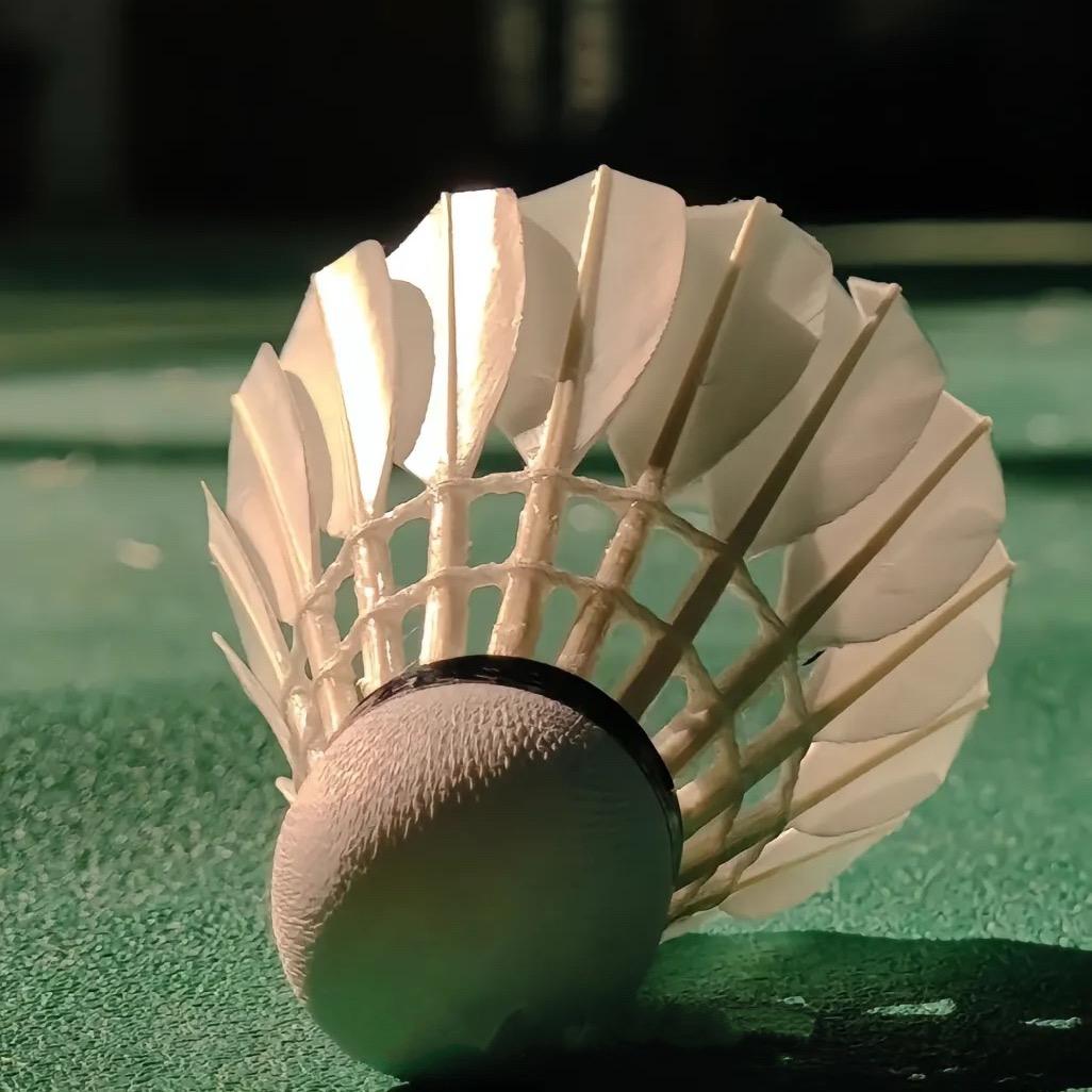 武山县星辉羽毛球馆