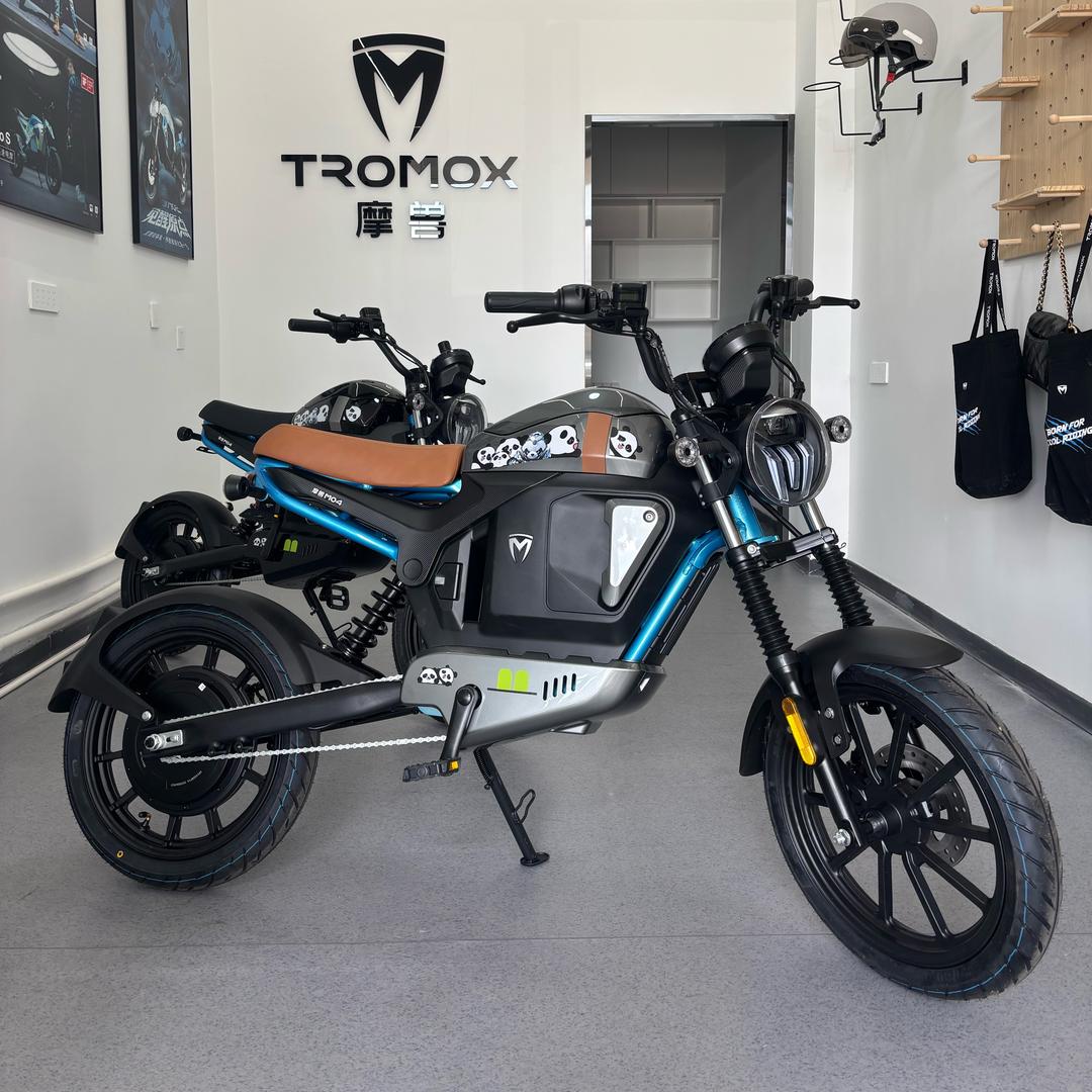 摩兽潮玩跨骑电动车（鄂尔多斯店）