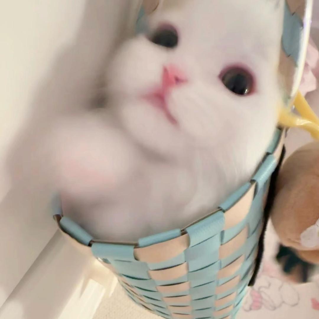 或许在发呆