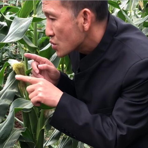 刘一锅