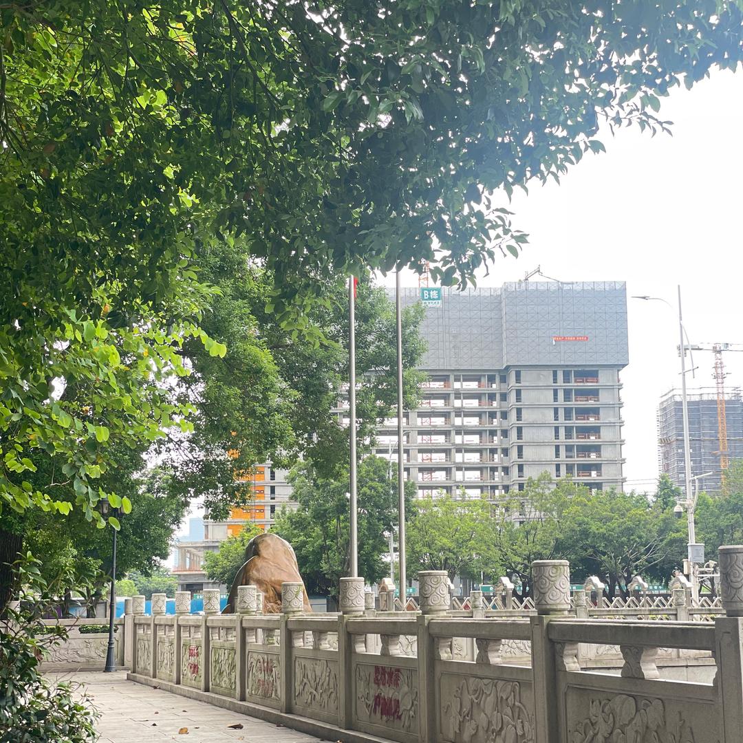 妙菲