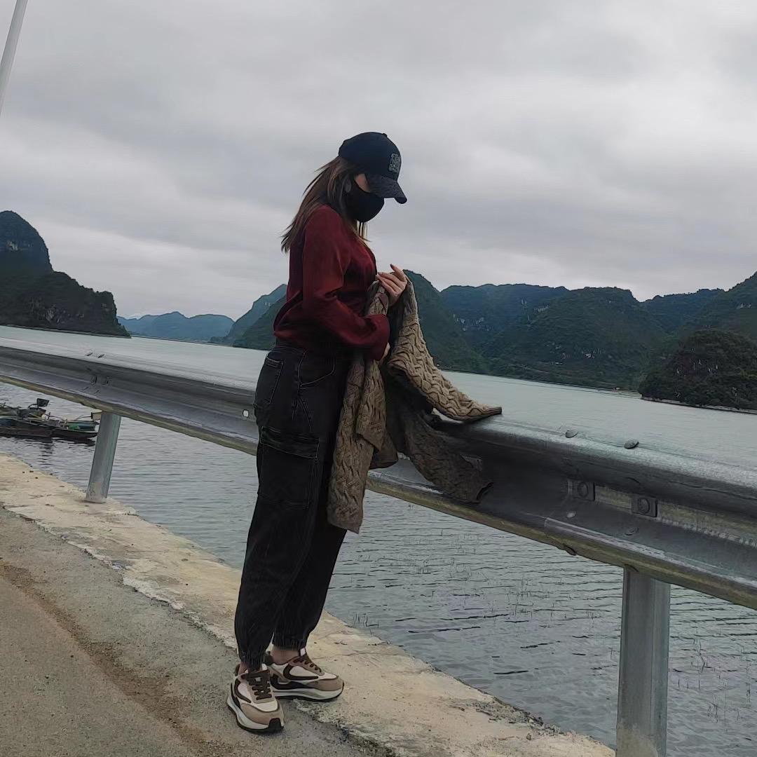 紫藤287738677